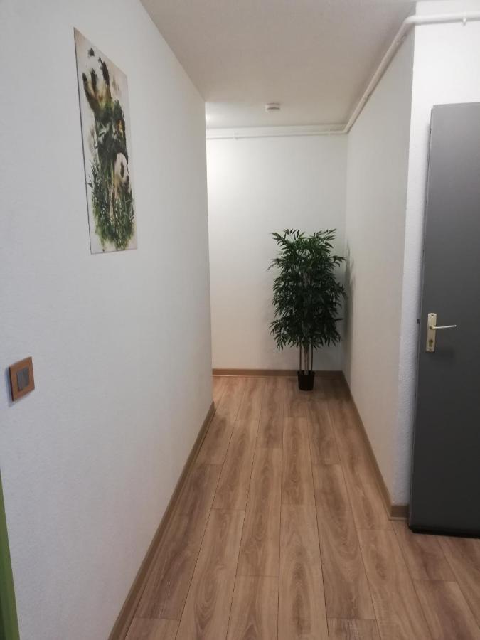 Appartement Grand T3 avec clim, parking et terrasse privative - Agen Extérieur photo